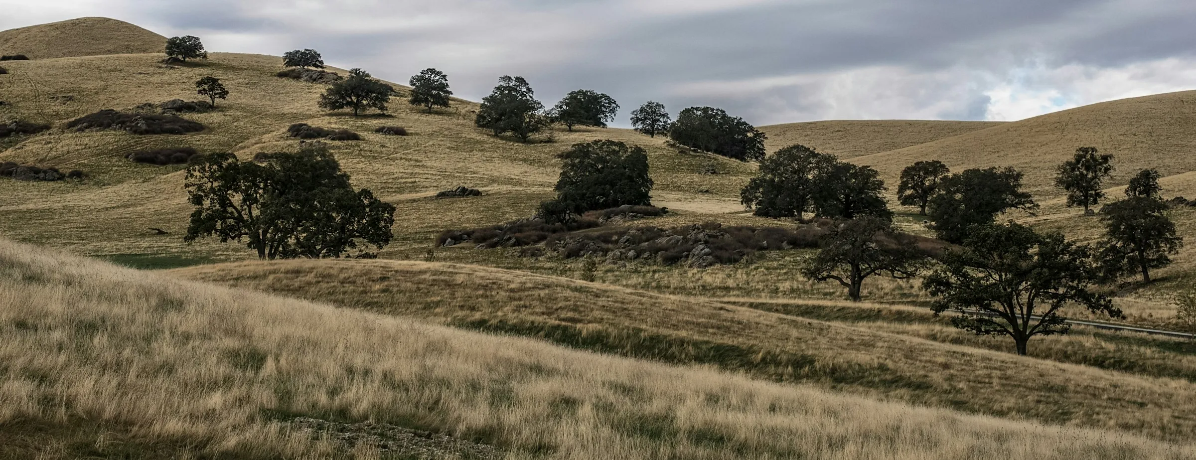 Dry grass hills dotted with oak trees under a cloudy sky.